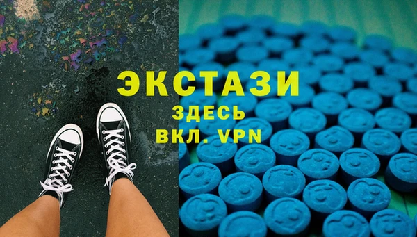 прущие грибы Аркадак