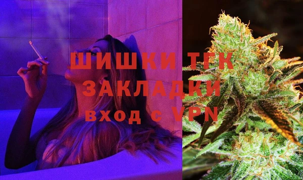 прущие грибы Аркадак