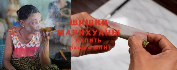 прущие грибы Аркадак