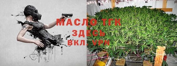 ПСИЛОЦИБИНОВЫЕ ГРИБЫ Арсеньев