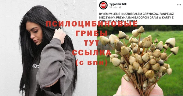 гашик Армянск