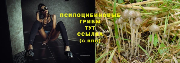 ПСИЛОЦИБИНОВЫЕ ГРИБЫ Арсеньев