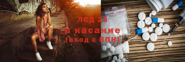 ПСИЛОЦИБИНОВЫЕ ГРИБЫ Арсеньев