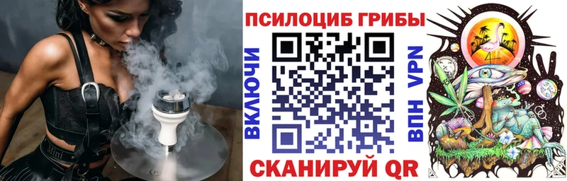 закладки  Миньяр  Галлюциногенные грибы Psilocybine cubensis 